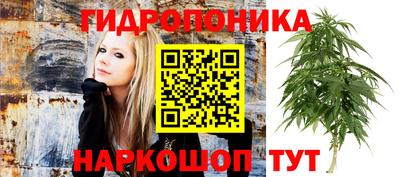 трава Кандалакша