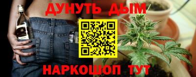 трава Кандалакша