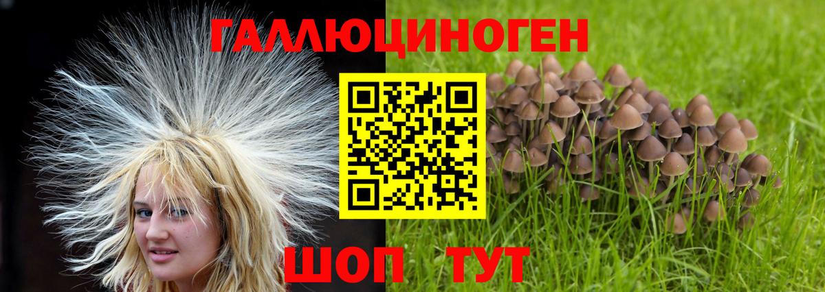 Псилоцибиновые грибы прущие грибы Конаково