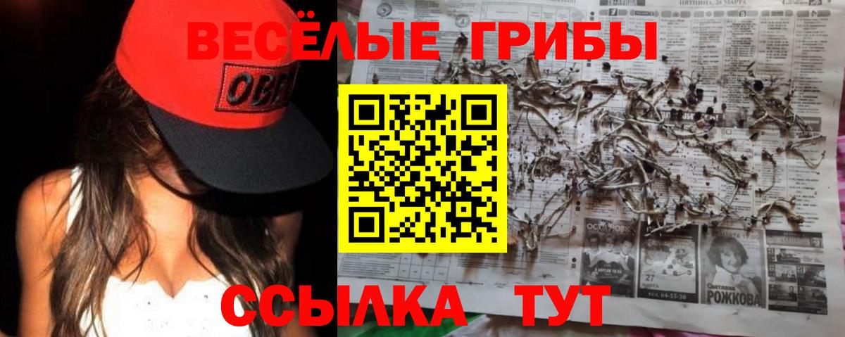 Конаково  Галлюциногенные грибы MAGIC MUSHROOMS  Вход с VPN  Псилоцибиновые грибы Magic Shrooms 